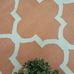 Alfombra coral