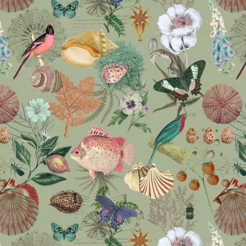 Biodiversitatisc4 510x510