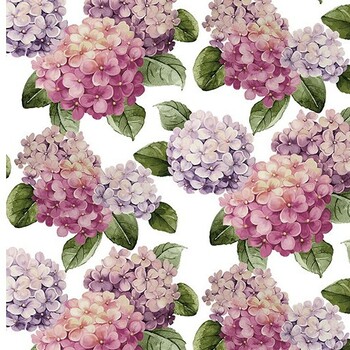 Hortensias3098 03