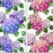 Hortensias3098 03%20%281%29