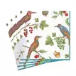 6860l caspari jeweled birds paper luncheon napkins in ivory 20 per package 28870099533959 1024x1024