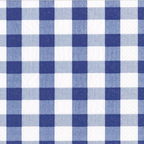 17070l caspari gingham paper luncheon napkins in blue 20 per package 28863574868103 1024x1024