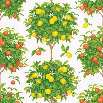 16380l caspari citrus topiaries paper luncheon napkins in white 20 per package 28167517405319 1024x1024