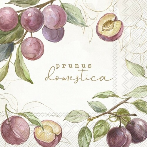 20 servilletas de papel lunch country plums cream