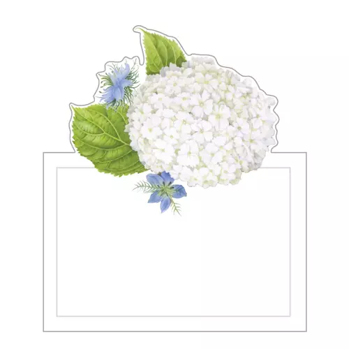 90903p caspari white blooms die cut place cards 8 per package 28171045404807 1024x1024