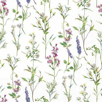 Summer%20lightness%20white