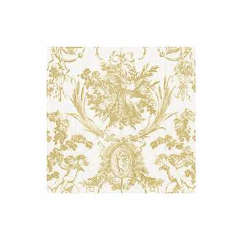 3303b caspari romantic toile green boxed cocktail napkins 40 per box 32409018040455